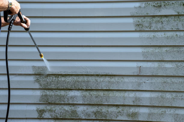 Best Property Management Cleanouts  in Midfield, AL